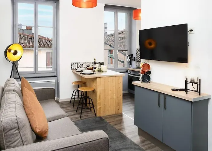 شقة N2 Des Etudes Cosy Hypercentre Wifi Conciergeriedamecarcas